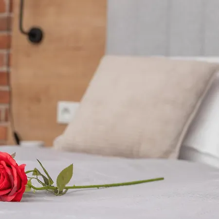 Apartament Elegant In With Sauna, Gym And Parking By Renters *
