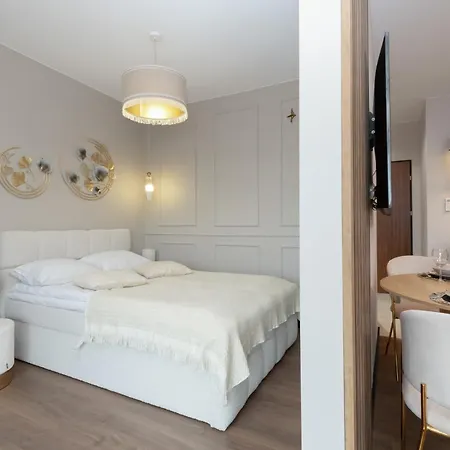 Prestige Elegant In With Sauna, Gym And Parking By Renters Apartment Danzig