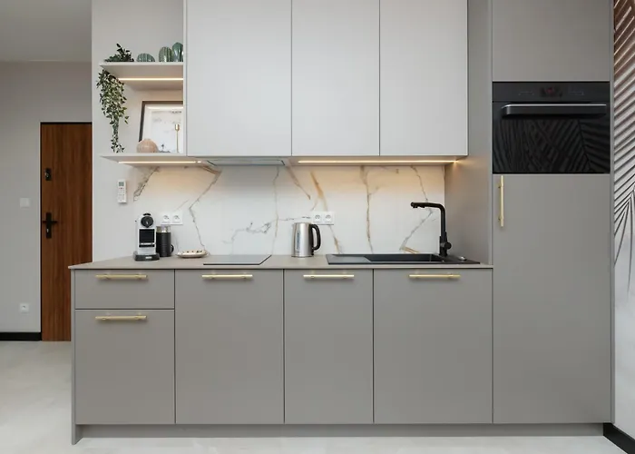 Prestige Elegant In With Sauna, Gym And Parking By Renters * Danzig